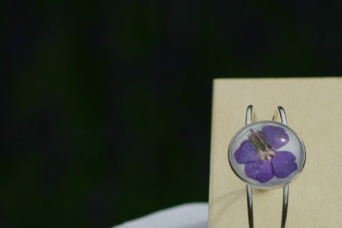Schmuckset aus getrockneten Immergrünblüten hinter Glas 49,--€